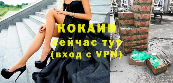 гидра Чекалин
