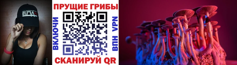 Псилоцибиновые грибы Cubensis  МЕГА рабочий сайт  Ачхой-Мартан 